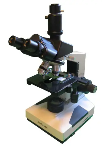 trinocular head microscope
