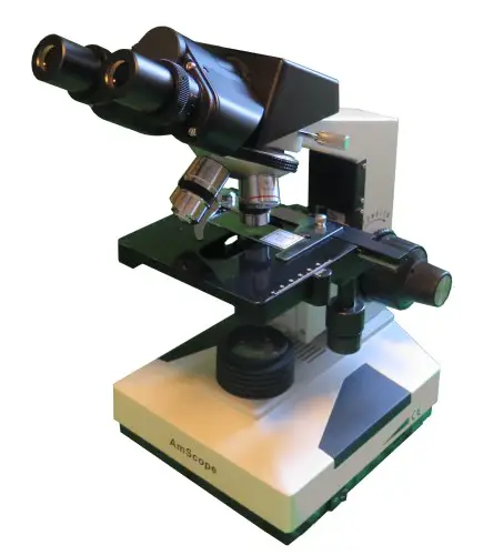 binocular head microscope