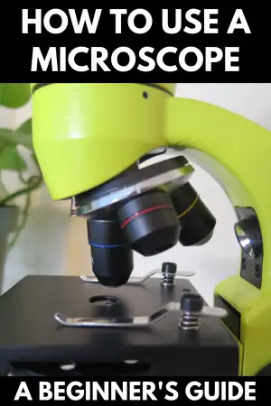 how to use a microscope
