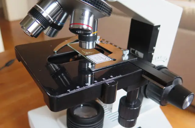 mechanical stage on a compound microscope