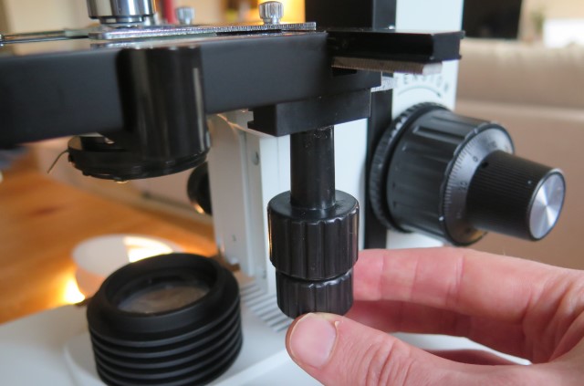 demonstration of the function of a mechanical stage on a compound microscope
