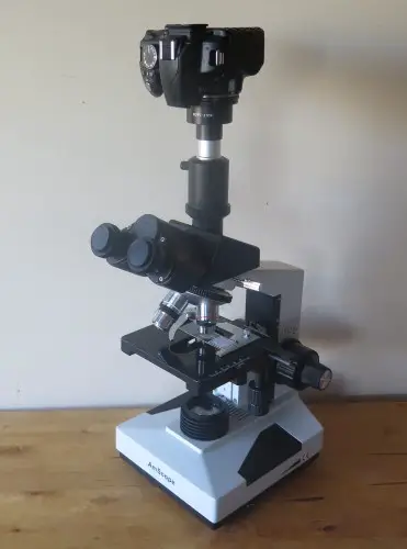 how to take pictures through a microscope