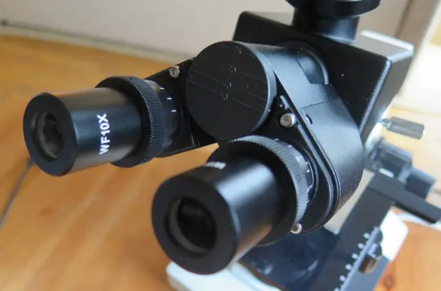 The 3 Types of Microscope Heads - Scope Detective