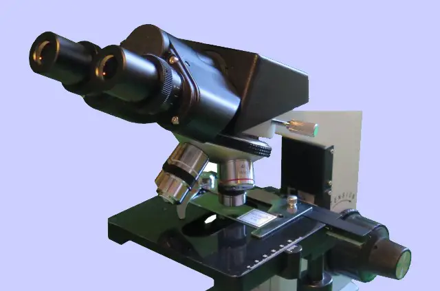 The 3 Types of Microscope Heads - Scope Detective