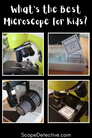 best microscope for kids and students